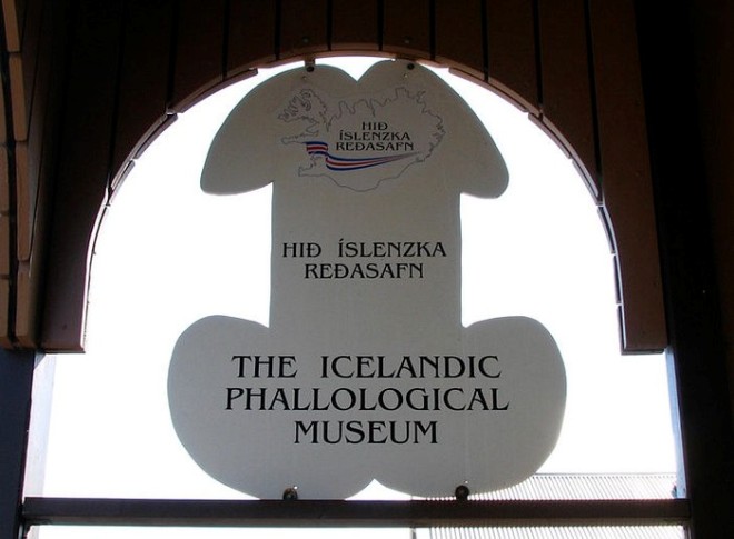 Члени тварин, людей, ельфів і тролів. Ісландська фаллологіческій музей (7)