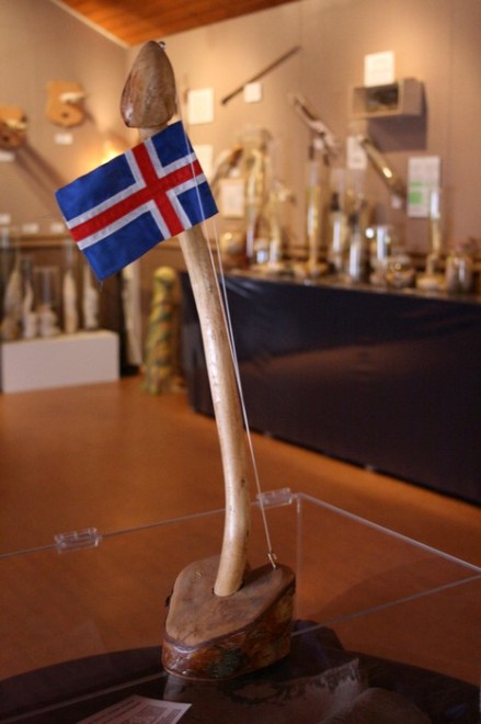 Члени тварин, людей, ельфів і тролів. Ісландська фаллологіческій музей (4)