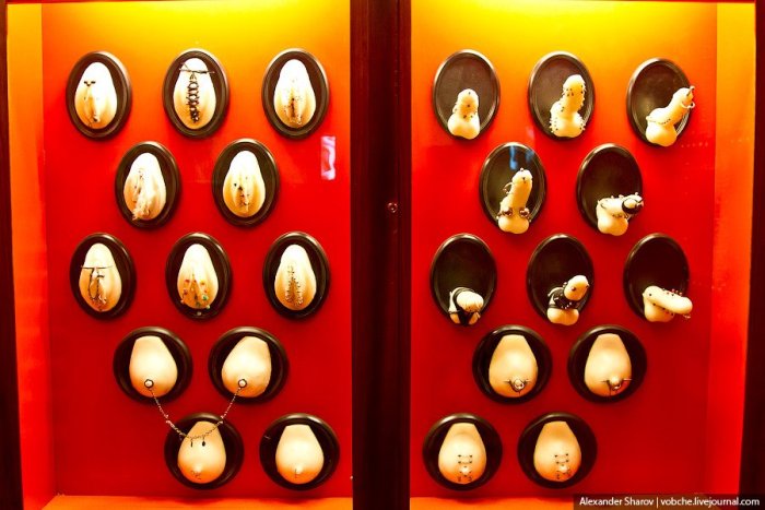 Музей еротики та секс-машин в Празі (9)