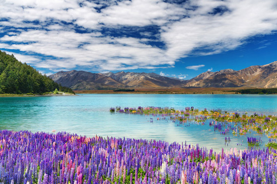 Красочне озеро в Новій Зеландії.