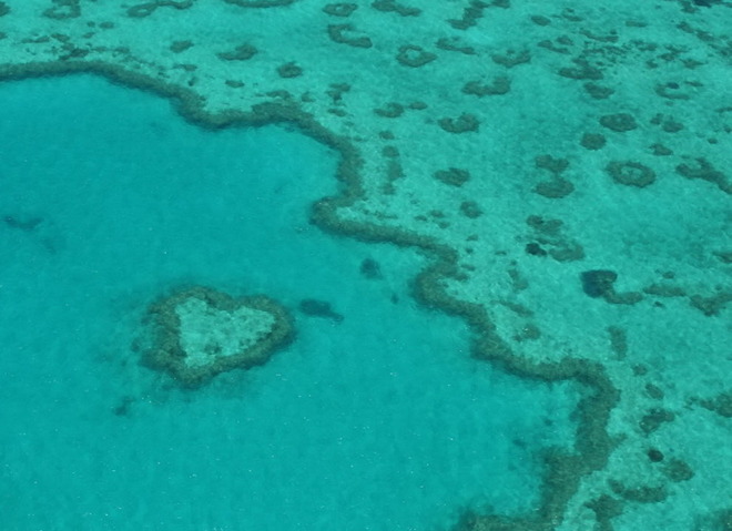 Риф на узбережжі Квінсленда, Австралія.