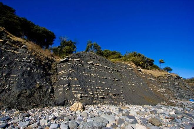 Лайм Реджіс - Пляж Юрського періоду