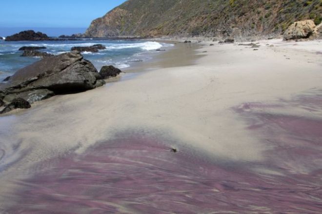 Фіолетовий пляж