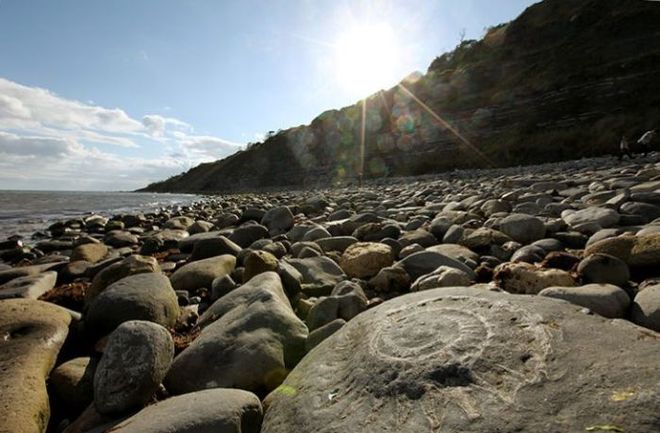 Лайм Реджіс - Пляж Юрського періоду
