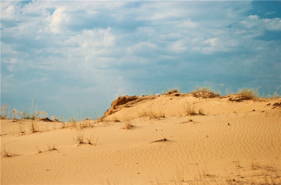 Олешківські піски - природне диво України та найбільша пустеля Європи (1)