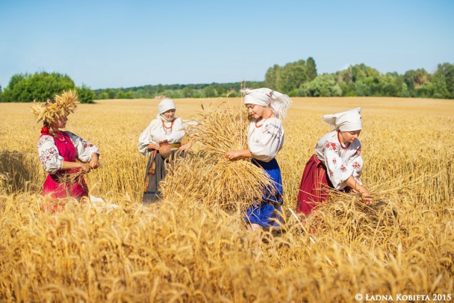Ответ на вопрос, почему украинский хлеб самый вкусный и полезный. ФОТО