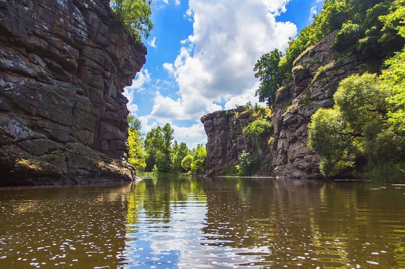 Буки фото: Ірина Савіна