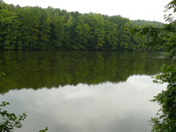 Шелехівське озеро