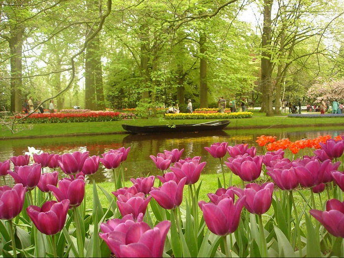 Найбільший квітник в світі, відомий як Сад Європи