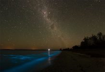 Дивовижне біолюмінісцентне озеро в Австралії (5)