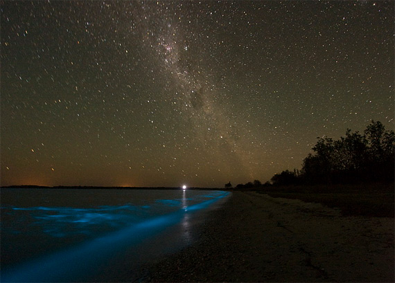 Дивовижне біолюмінісцентне озеро в Австралії (5)
