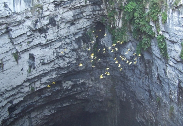 Печера ластівок - дивовижне творіння природи (7)