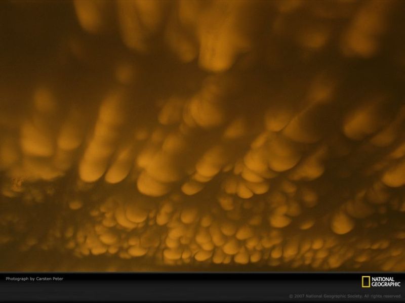 Вимяподібні хмари над Небраскою, відомі завдяки їх обвислій мішкуватію формі. Ще одна їх назва «mammatocumulus» походить від латинського слова «груди». (Carsten Peter)