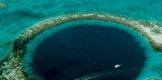 Велика блакитна дірка в океані: Підводна печера неподалік Белізу (2)