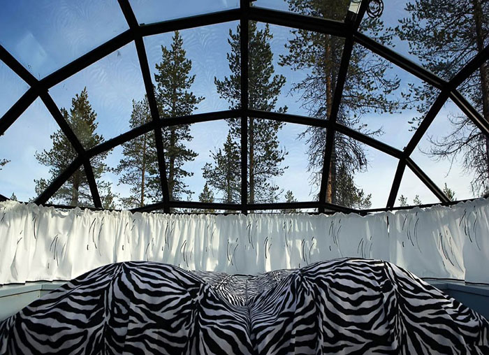 Унікальний готель у Лапландії зі скляними іглу для незабутнього відпочинку (9)
