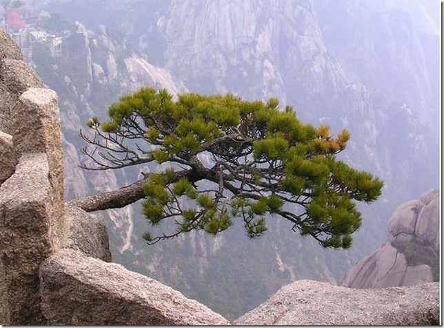 Хуаншань - Священні гори Китаю, об'єкт виняткової природної краси (8)