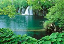 Плітвіцькі озера - Хорватське чудо природи (6)