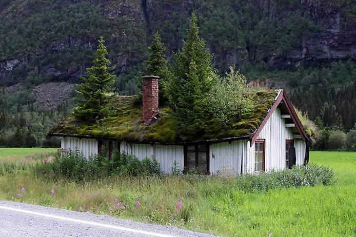 Унікальні зелені дахи в Норвегії (13)