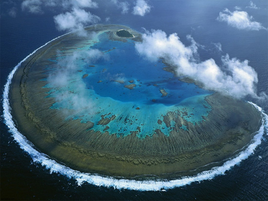 Кораловий острів Леді Масгрейв, Австралія.