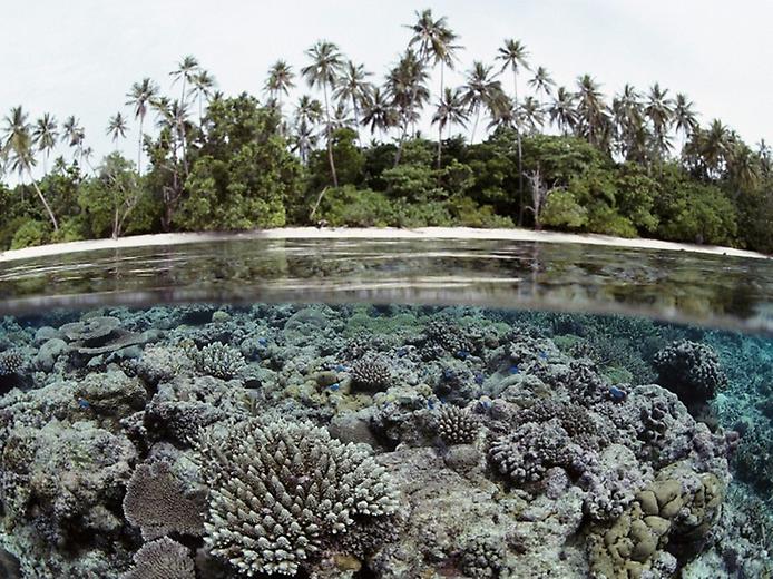 Соломонові Острови в Тихому океані (2)