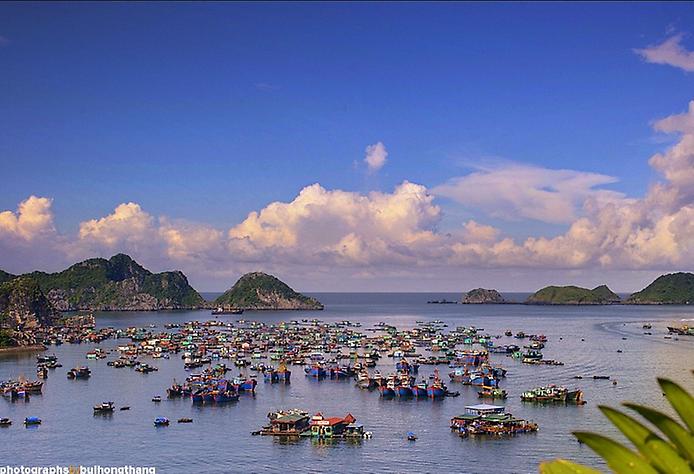Плаваючі села острова Кат Ба у В'єтнамі (8)