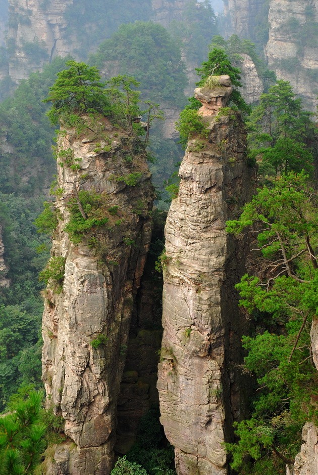 Національний парк Чжанцзяцзе (12)