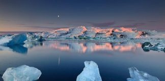 Лагуна Льодовиків в Ісландії (8)
