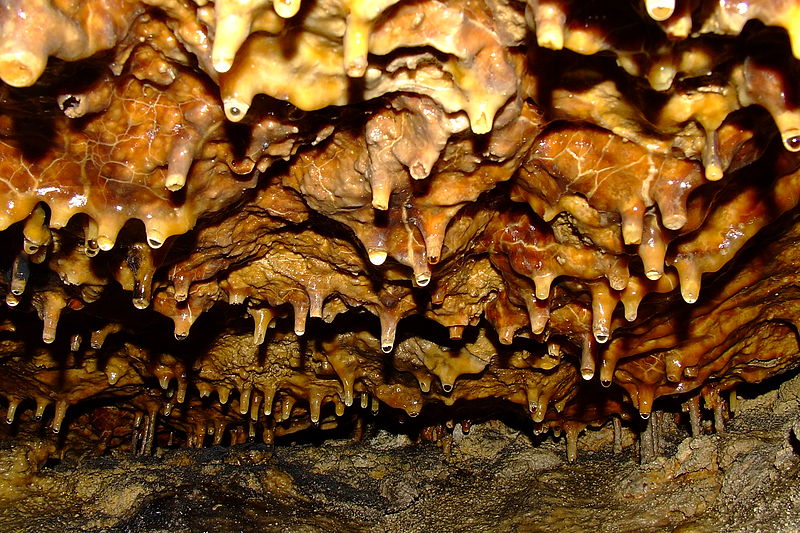 Найцікавіші печери Тернопільщини - фото 4