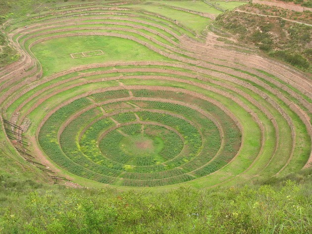 Сільськогосподарські тераси Мора древньої цивілізації інків (1)