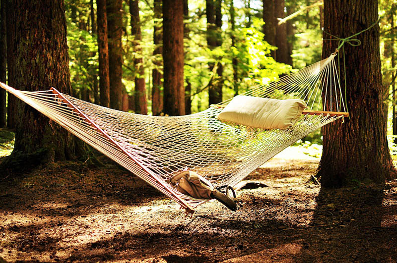 25 місць ідеальних для того, щоб полежати в гамаку (Оханапекош, гора Рейнір, Вашингтон, США.)