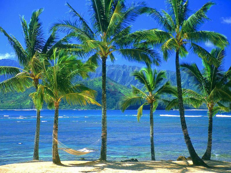 25 місць ідеальних для того, щоб полежати в гамаку (Кауаї, Гаваї. )