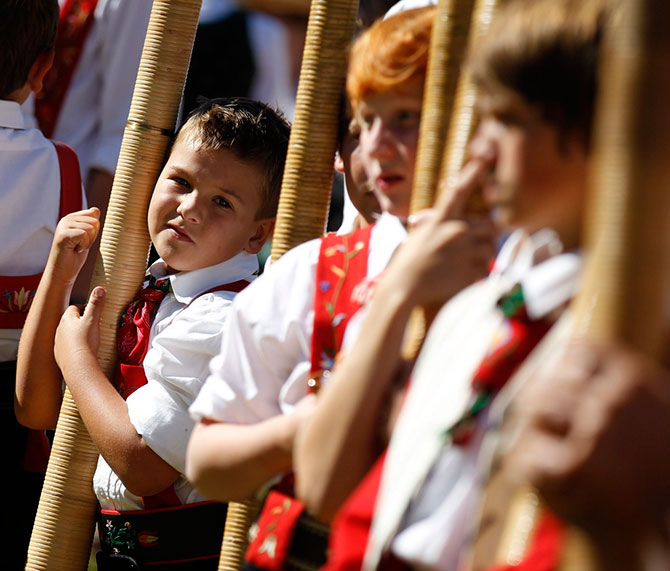 Фестиваль альпійських рогів (5)