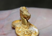 У Болгарії знайшли золото родини Олександра Македонського (7)