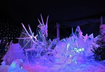 Вражаючі крижані скульптури (3)