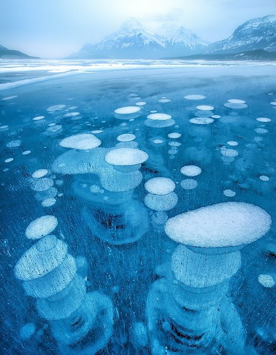 Канадські зимові пейзажі: озеро Авраама, "прикрашене" бульбашками повітря (1)