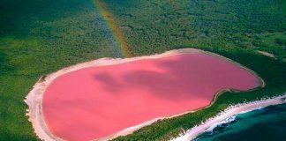 Рожеве озеро Хіллер (1)