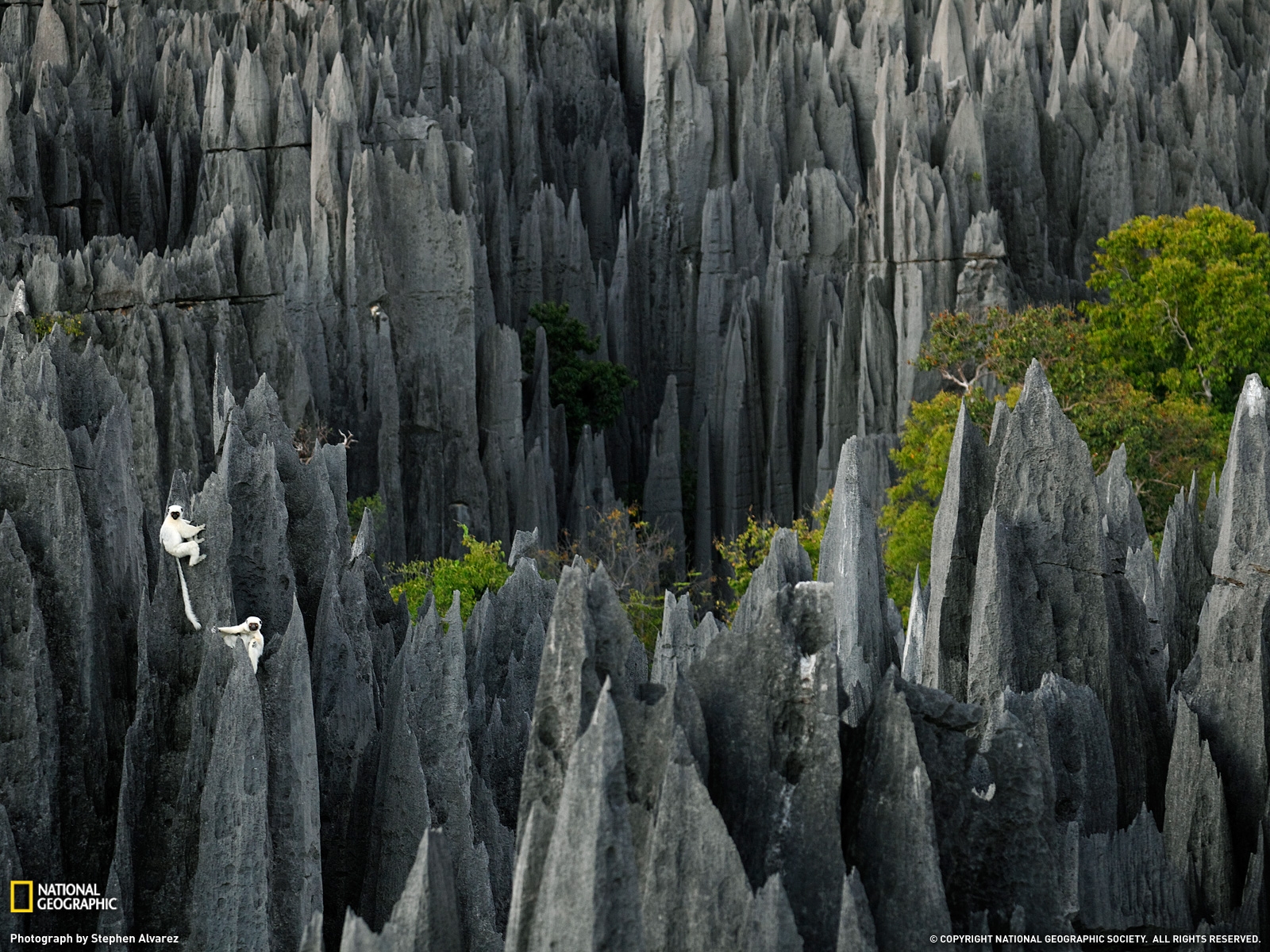 Формы природы. Каменный лес Цинжи-дю-Бемараха. Цинги де Бемараха Мадагаскар. Заповедник Цинжи-дю-Бемараха Мадагаскар. Цинги-де-Бемараха каменный лес на Мадагаскаре.