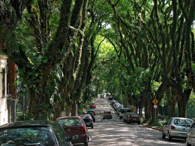 Найзеленіша вулиця світу - Руа-Гонсалу-де-Карвальо в Бразилії (2)
