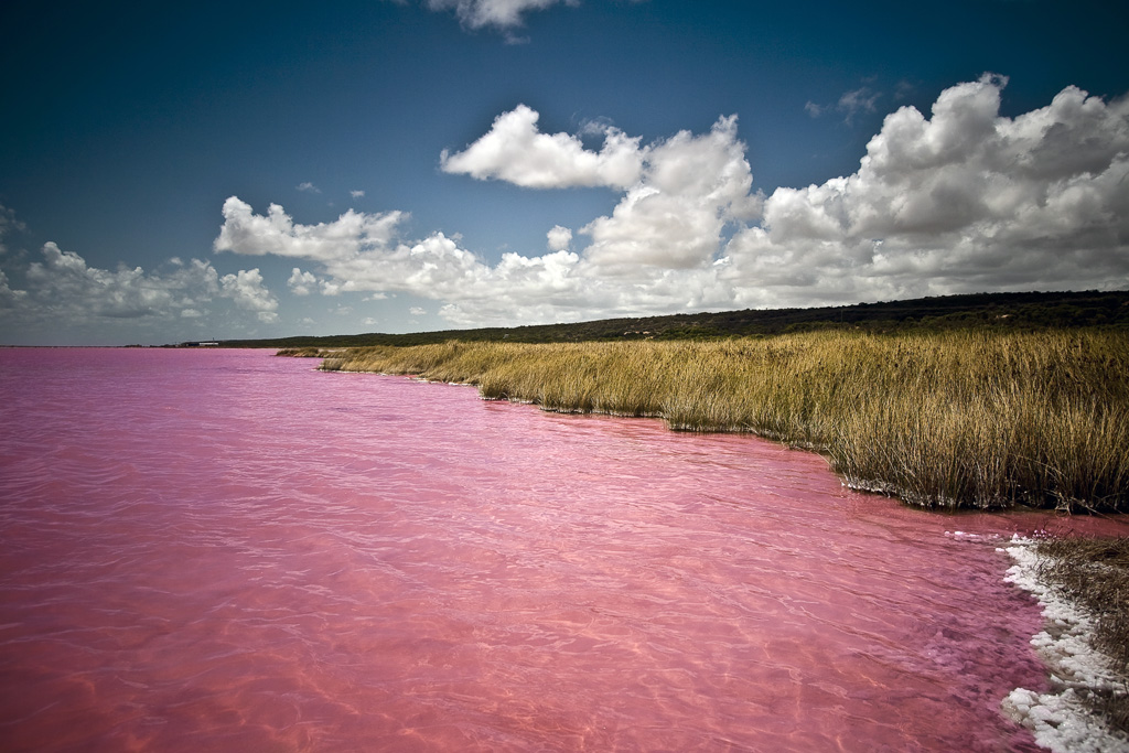 Рожеве озеро Хіллер (5)
