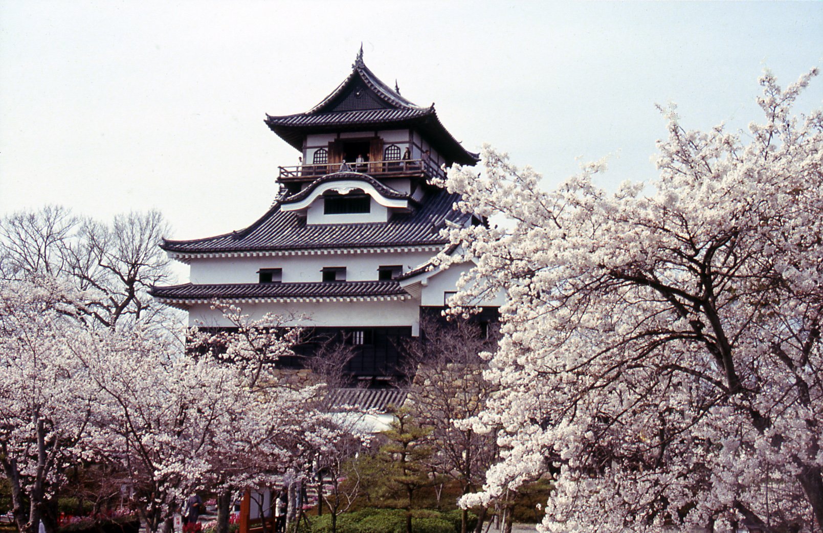 Замок білого мармуру або замок Інуяма (1)