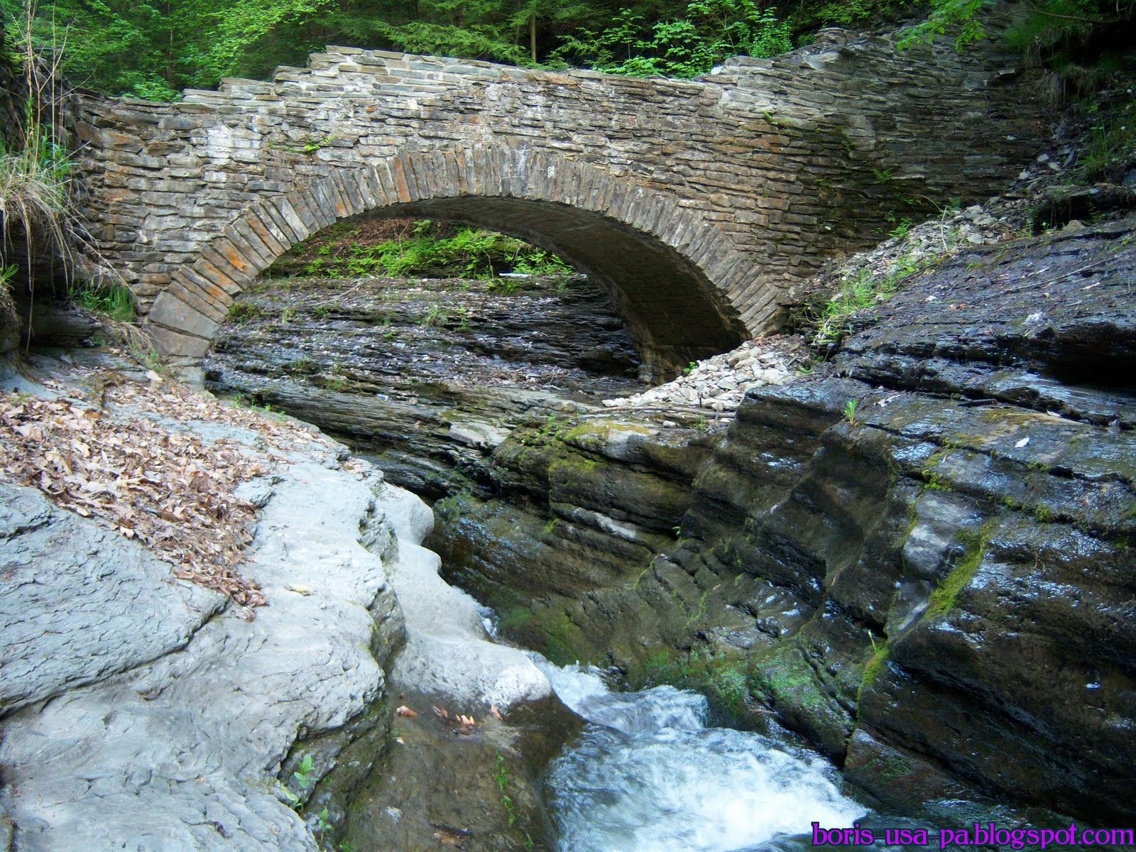 ущелина та водоспади, державний парк Уоткінс Глен (Watkins Glen State Park) (16)