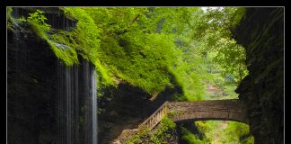 ущелина та водоспади, державний парк Уоткінс Глен (Watkins Glen State Park) (1)