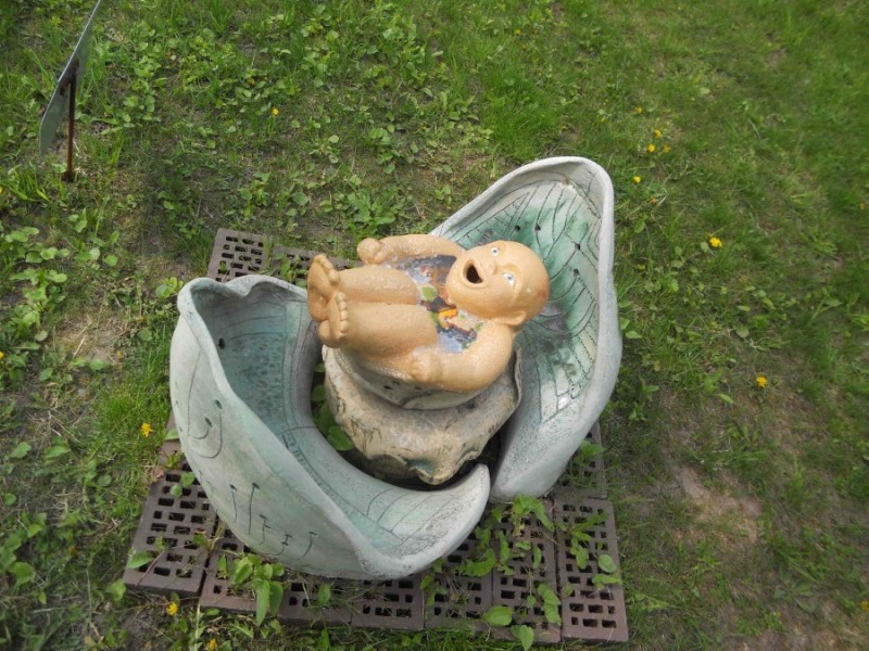 Немовля у капусті  фото: tourist_ua