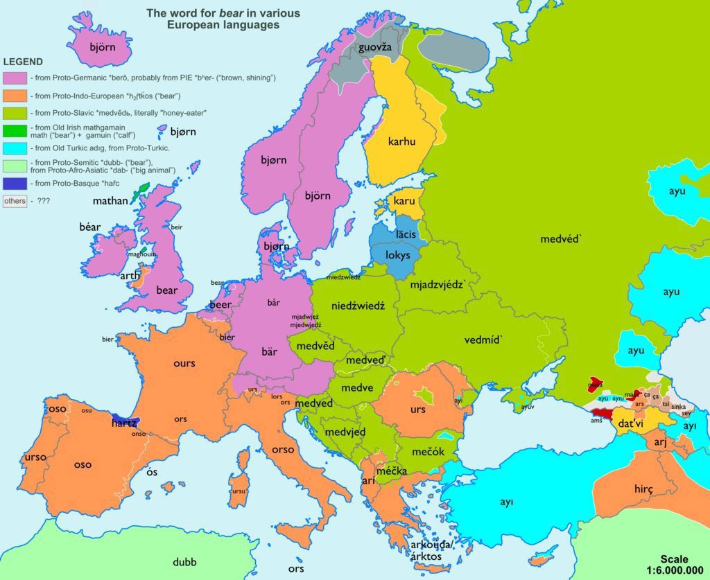 The Word for Bear in Various European Languages