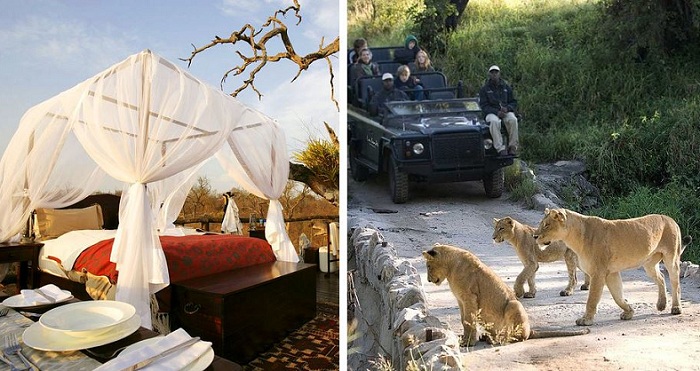 Lion Sands Game Reserve. По сусідству з готелем бродять дикі тварини.