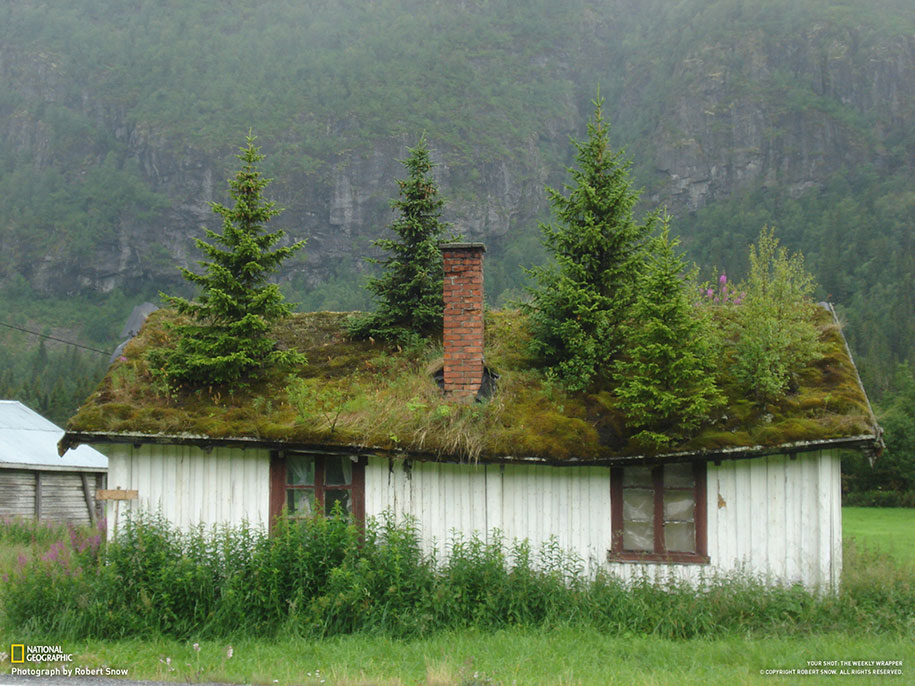 nature-architecture-buildings-norway-8