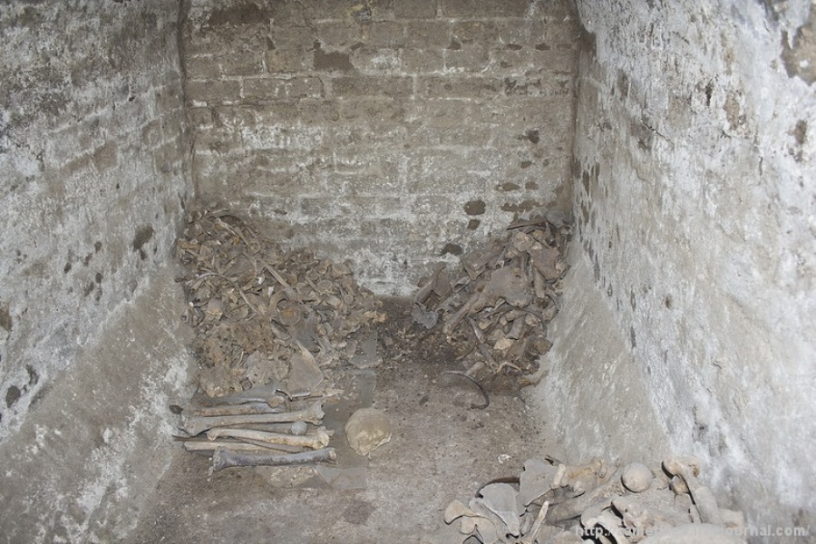 Кістки, знайдені під час розкопок фото: zametkiev