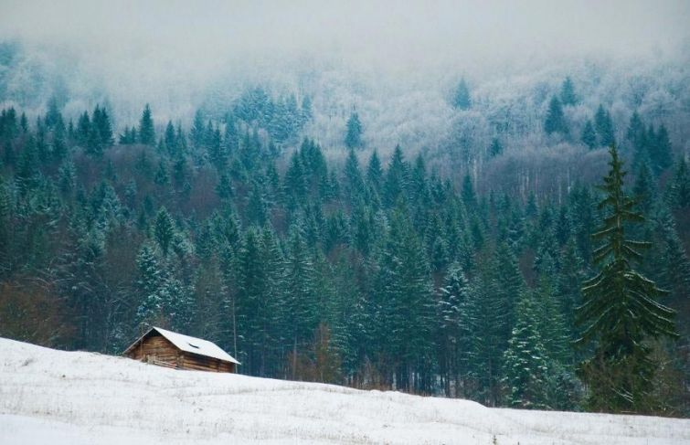 будиночок в лісі, снігові пейзажі