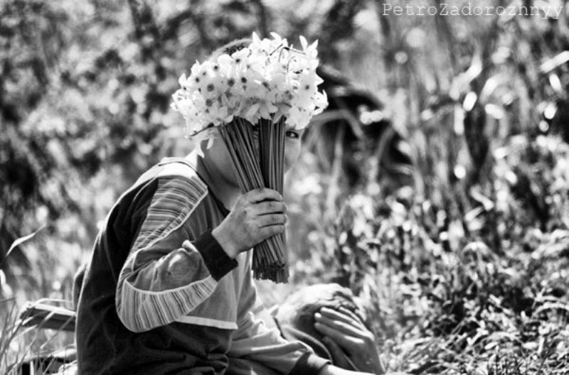 Хлопчик торгує нарцисами, вирощеними місцевими жителями поблизу Долини нарцисів фото: Петро Задорожний