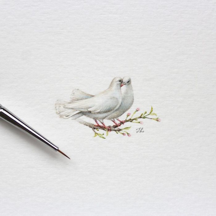 Пара білих голубів. Автор: Julia Las.